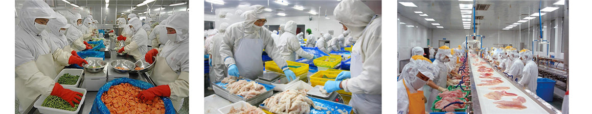 西餐烘焙油烟净化解决方案
